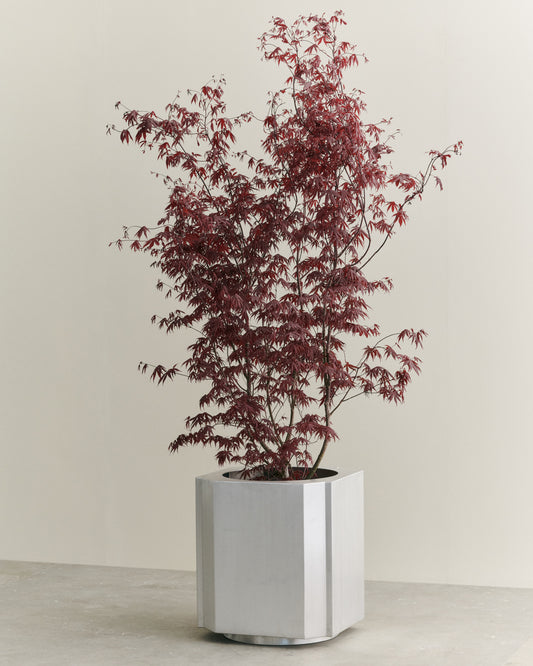 FUNKI POT X-LARGE